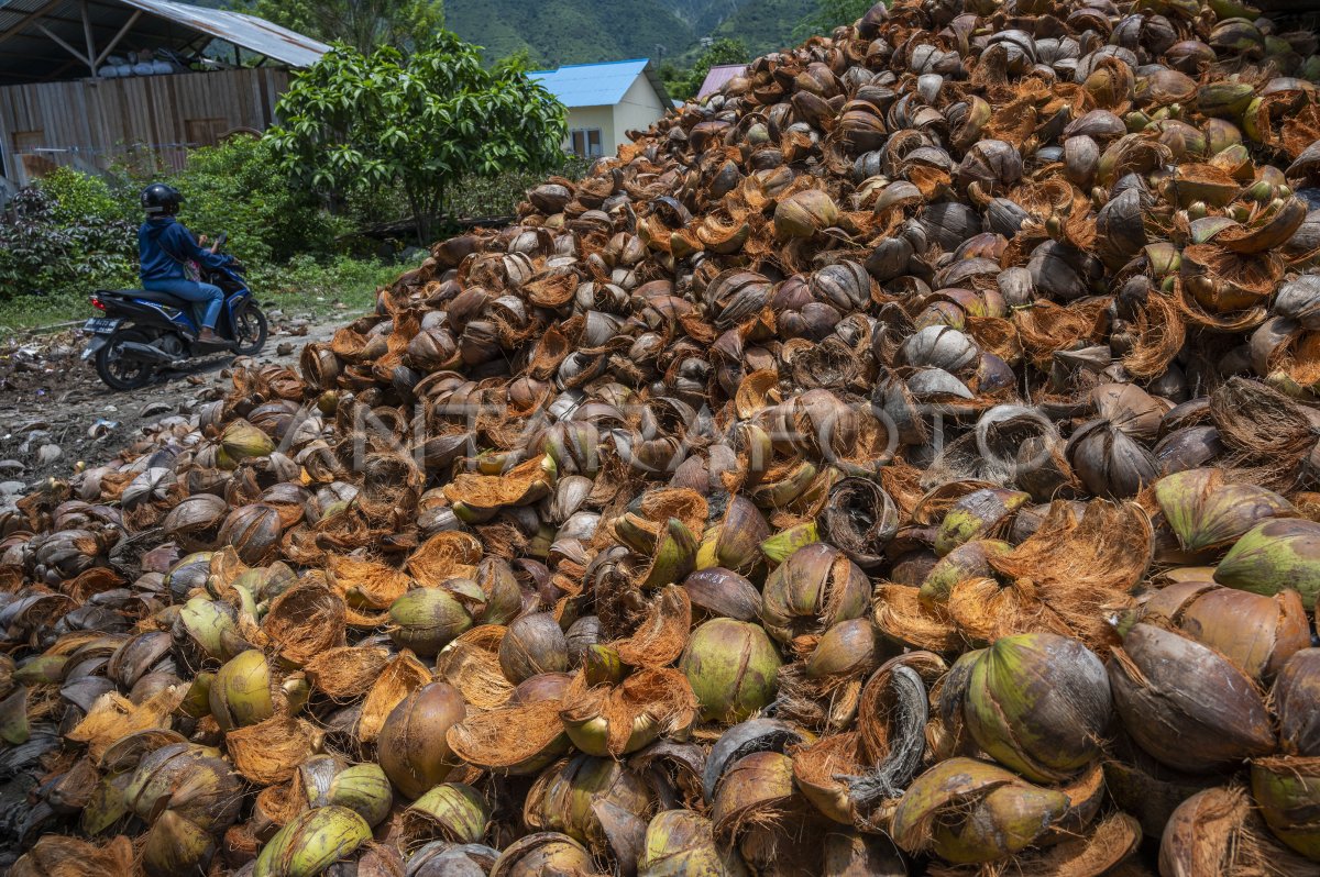 POTENSI PENGEMBANGAN USAHA SABUT KELAPA | ANTARA Foto