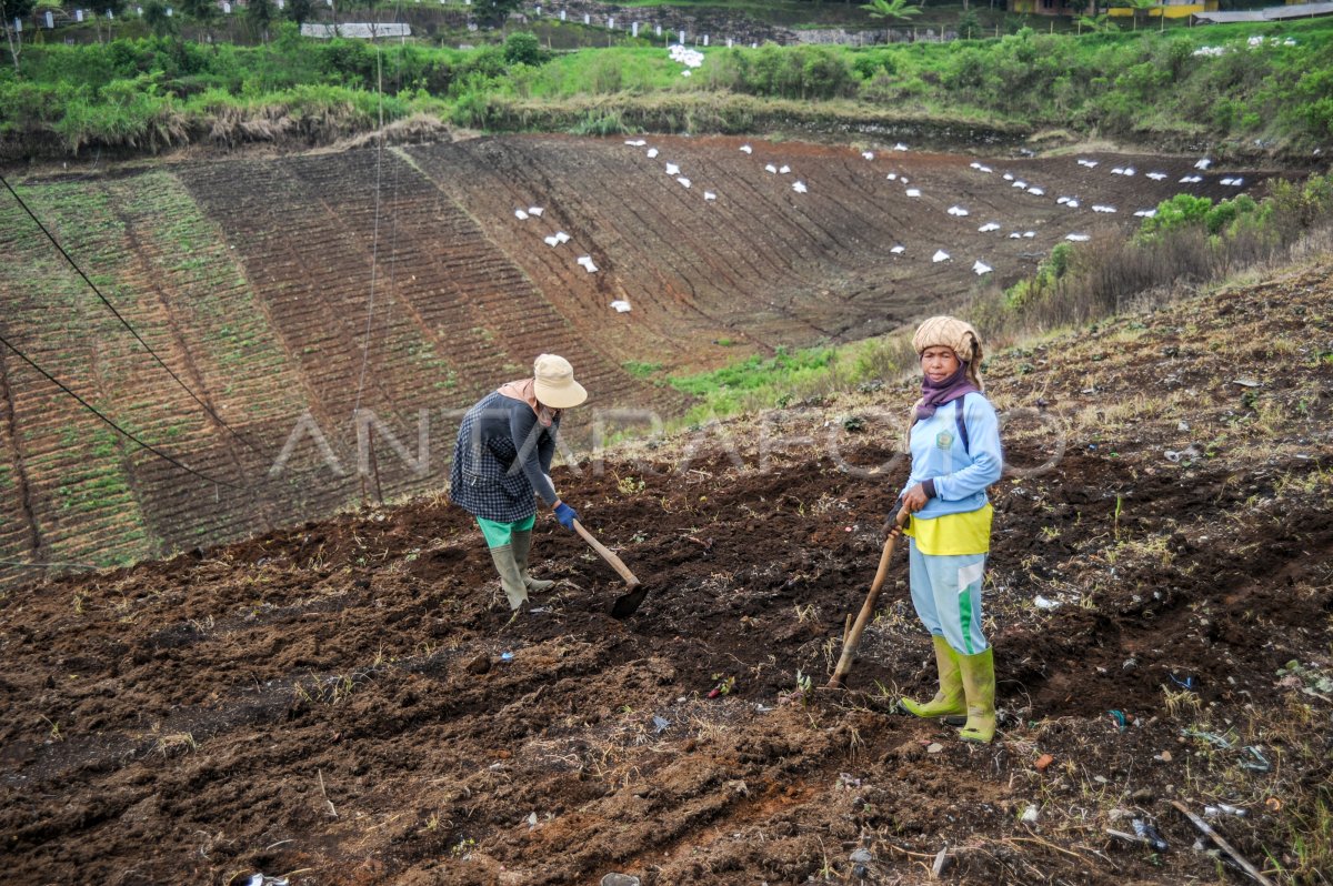 ALIH FUNGSI LAHAN DI JAWA BARAT ANTARA Foto