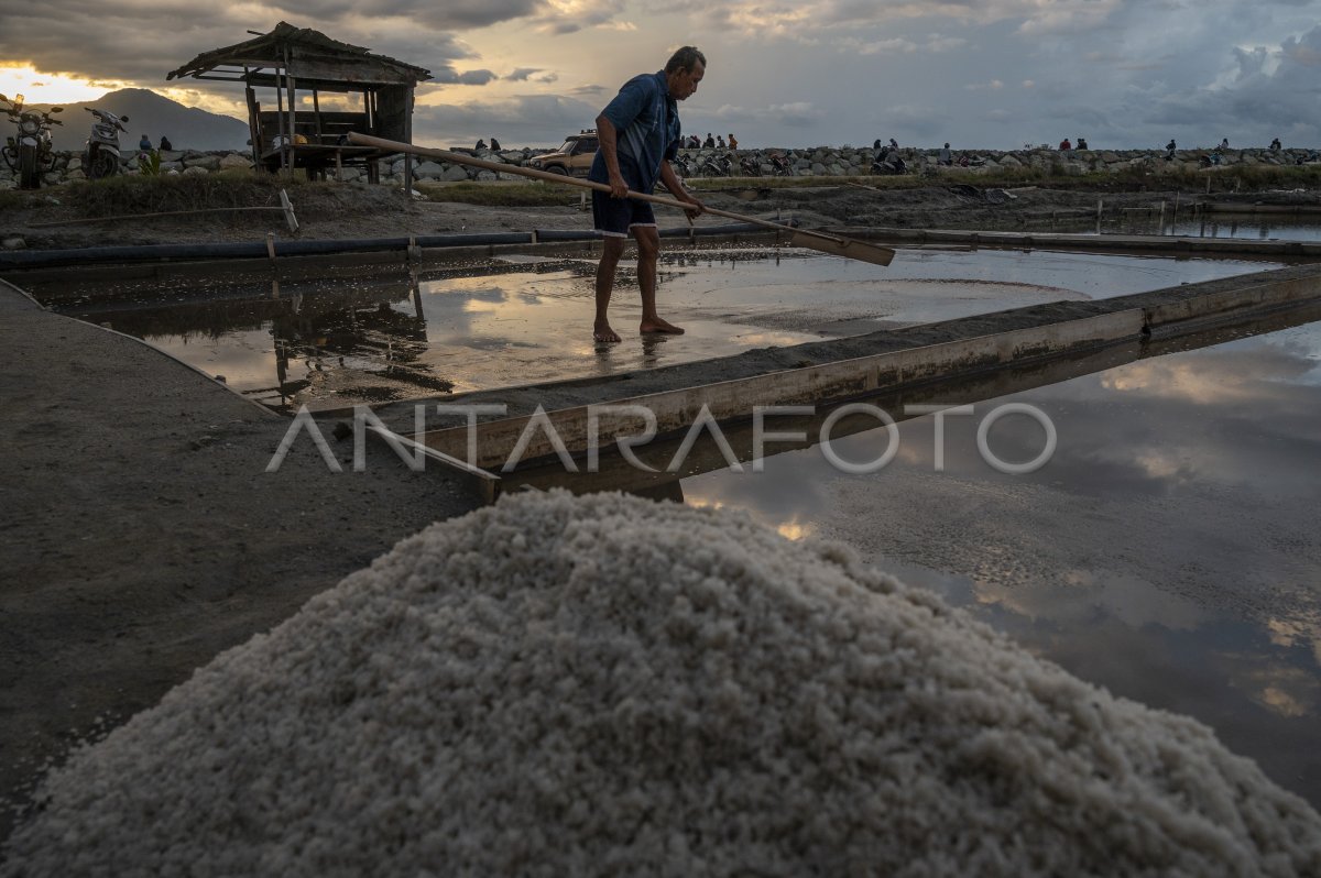 PENURUNAN PRODUKSI GARAM AKIBAT ANOMALI CUACA | ANTARA Foto