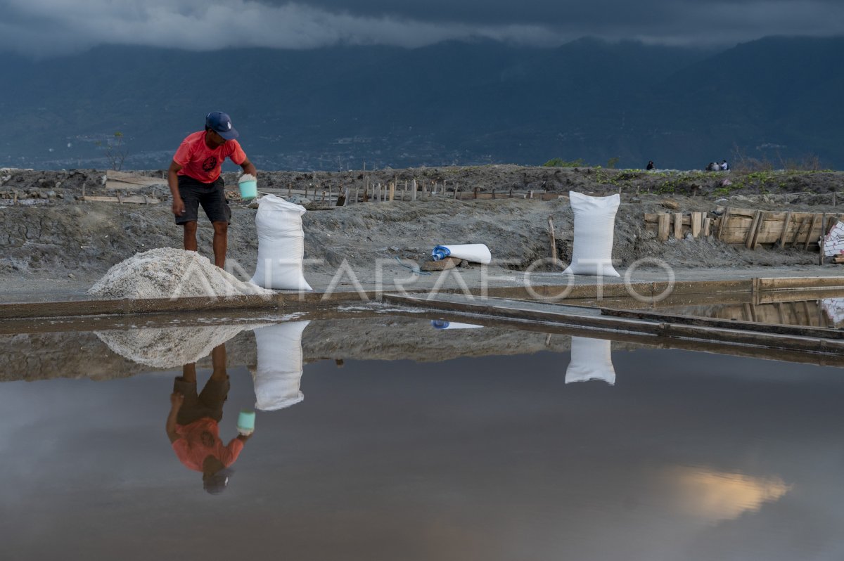 Penurunan Produksi Garam Akibat Anomali Cuaca Antara Foto