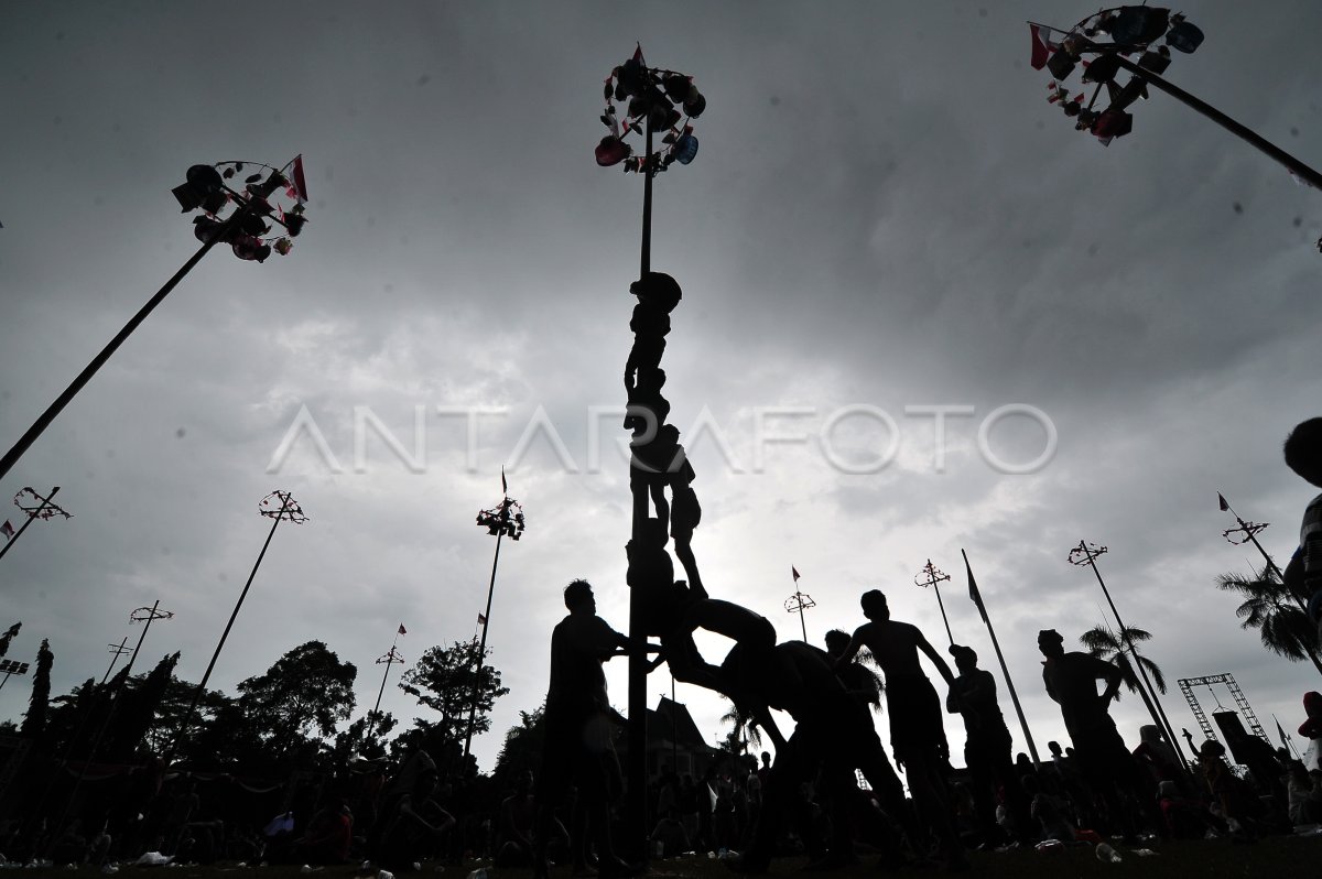 Lomba Panjat Batang Pinang Memperingati Hut Ri Di Jambi Antara Foto