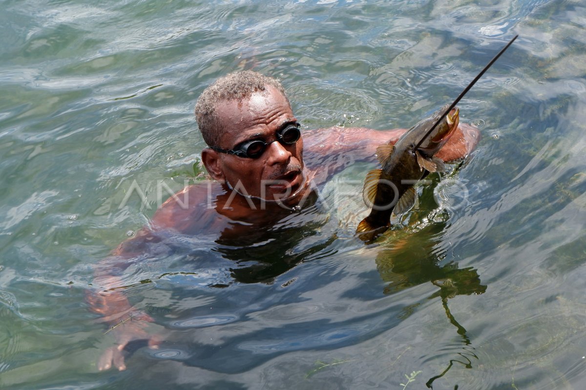 Menangkap ikan dengan alat tradisional di Danau Sentani