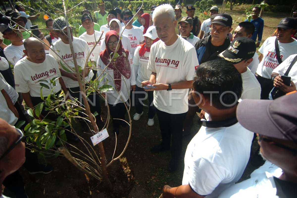 Gubernur Jateng peringati Hari Lingkungan Hidup di Tegal