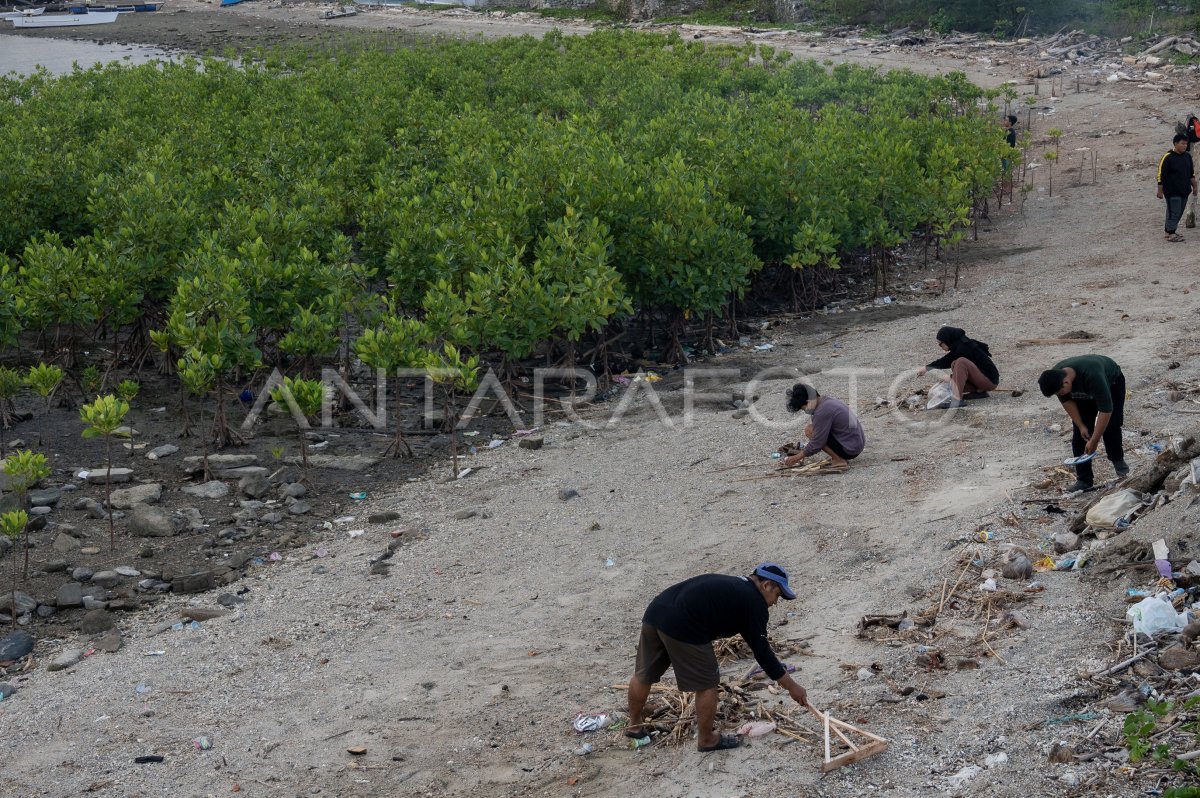 Menjaga area konservasi mangrove
