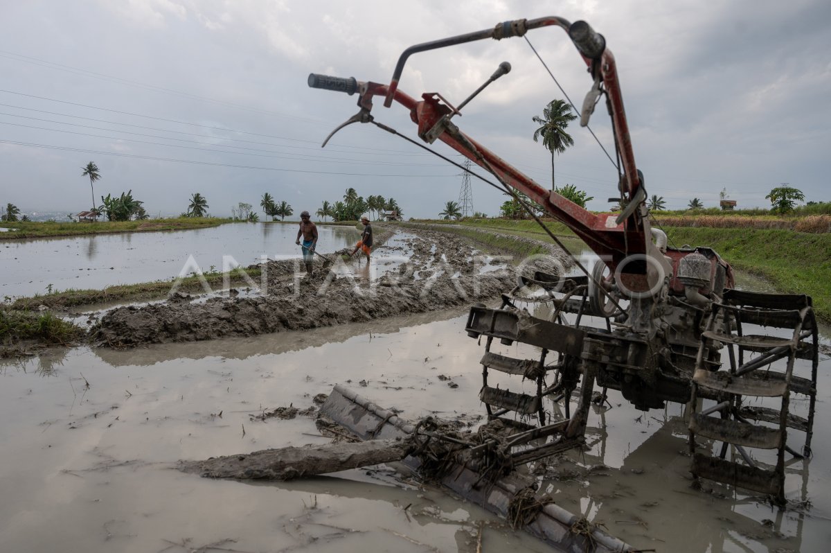 Gerakan Tanam Antisipasi Dampak El Nino | ANTARA Foto