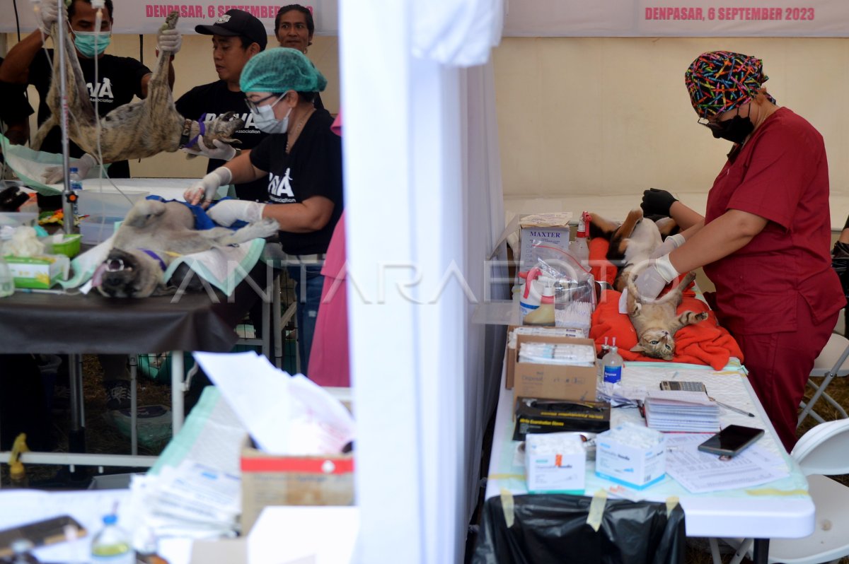 Pencegahan rabies di Bali