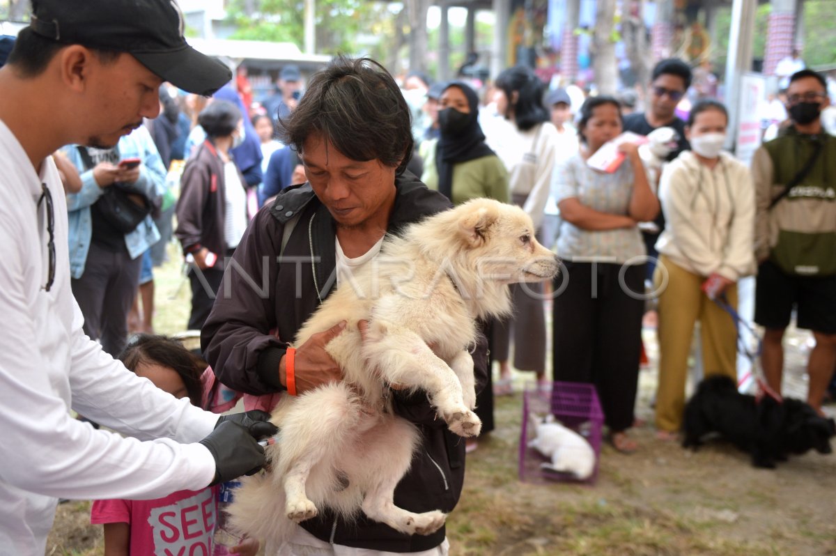 Pencegahan rabies di Bali