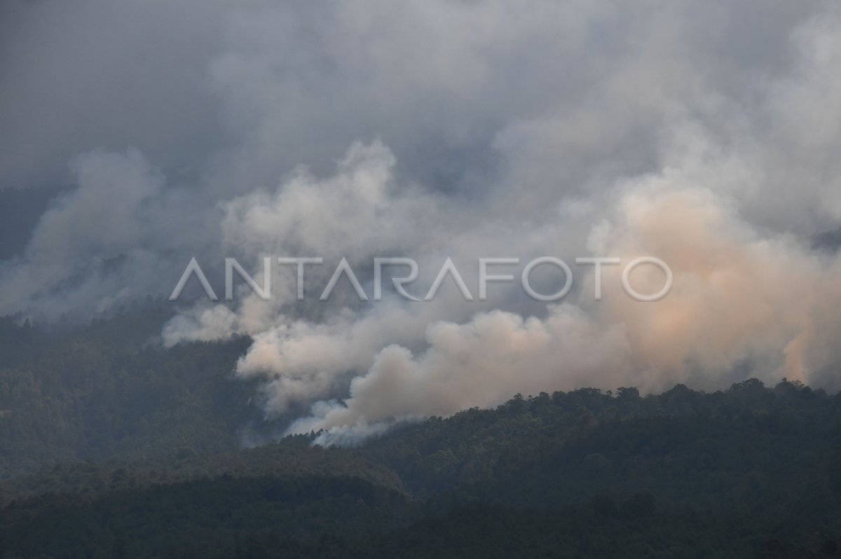 Kebakaran Gunung Lawu Capai 1.100 Hektare | ANTARA Foto