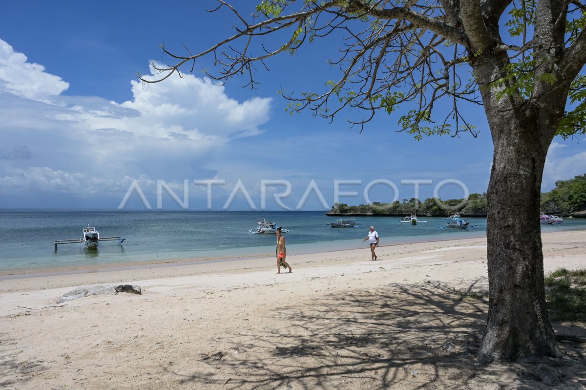 Wisata Pantai Pink di Lombok | ANTARA Foto