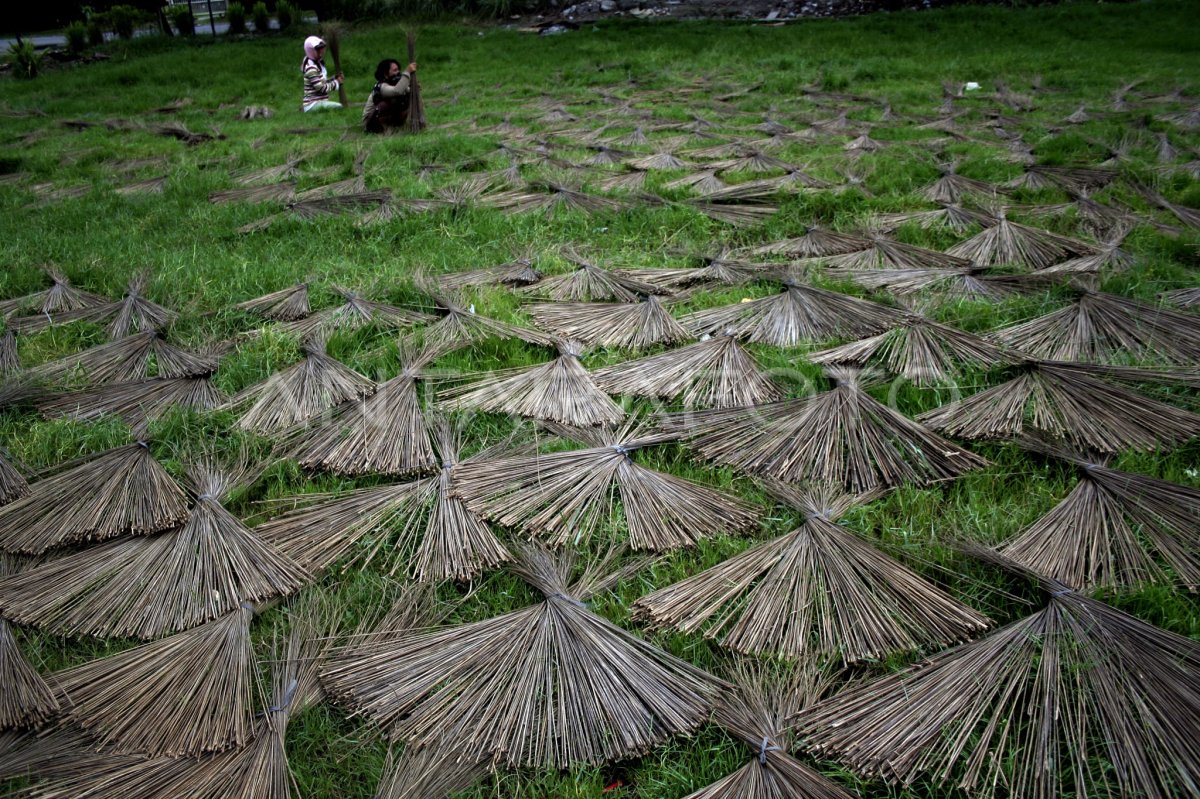 LIDI KELAPA SAWIT | ANTARA Foto