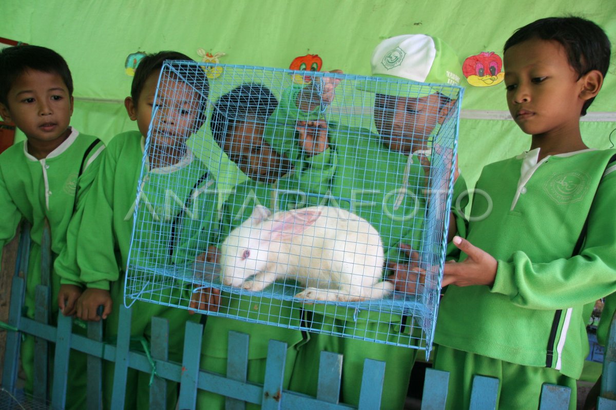 Klub Keren Peduli Hewan: Kampanye Sayang Binatang di Kuripan Kidul