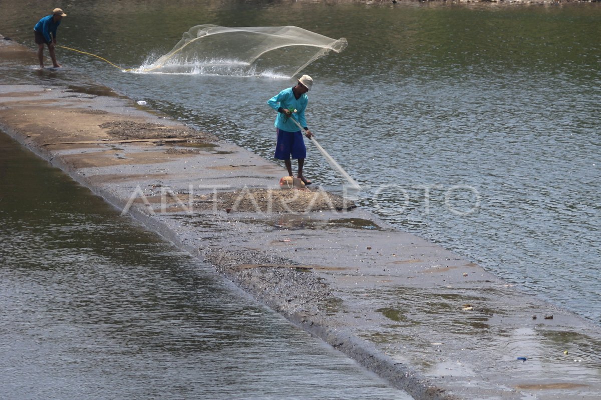 Menjala Ikan Sungai Antara Foto