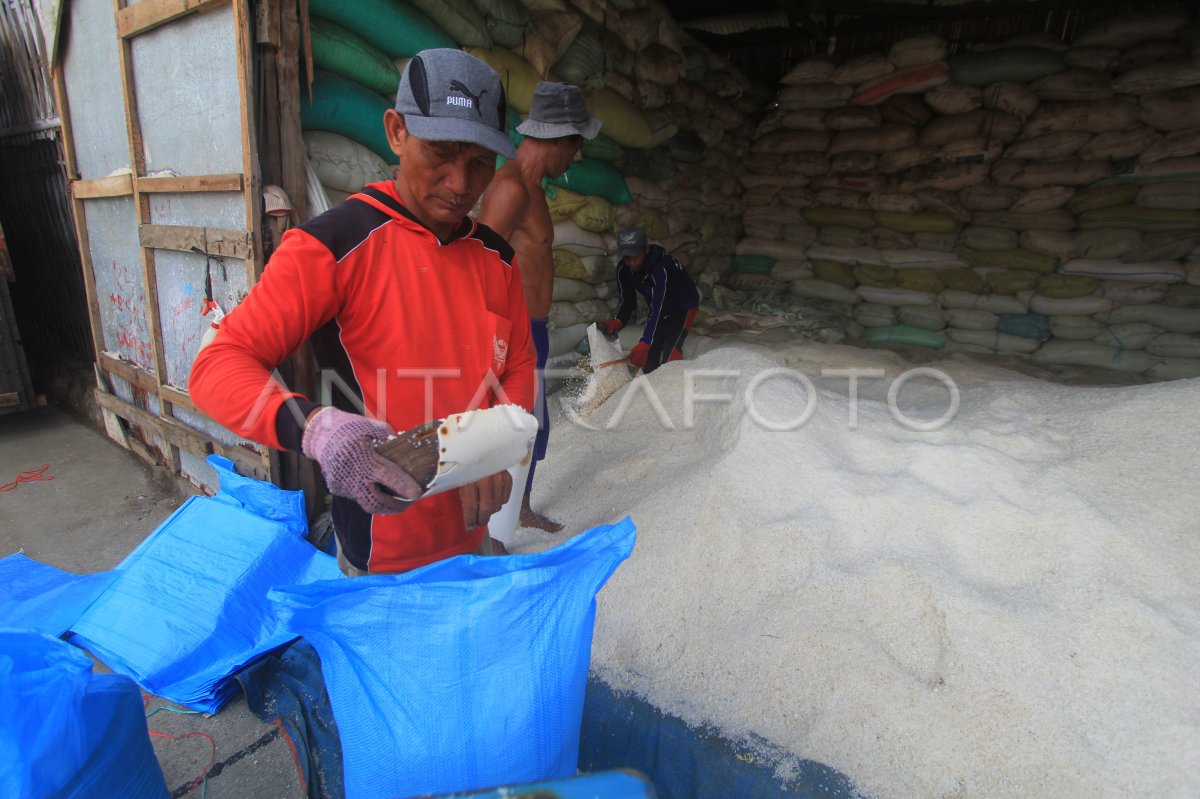 TARGET PRODUKSI GARAM NASIONAL | ANTARA Foto