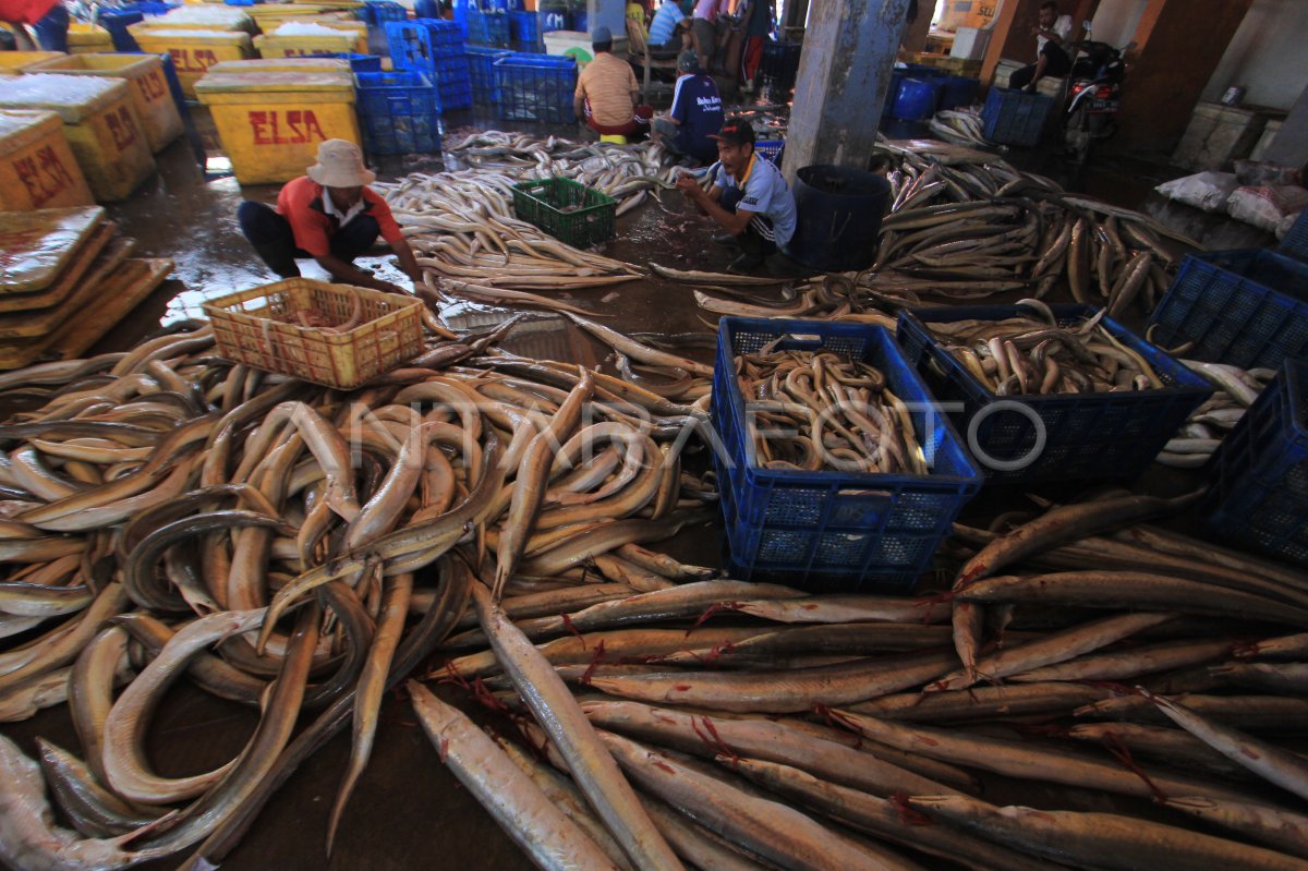 Pengembangan Industri Perikanan Ekspor di Yogyakarta