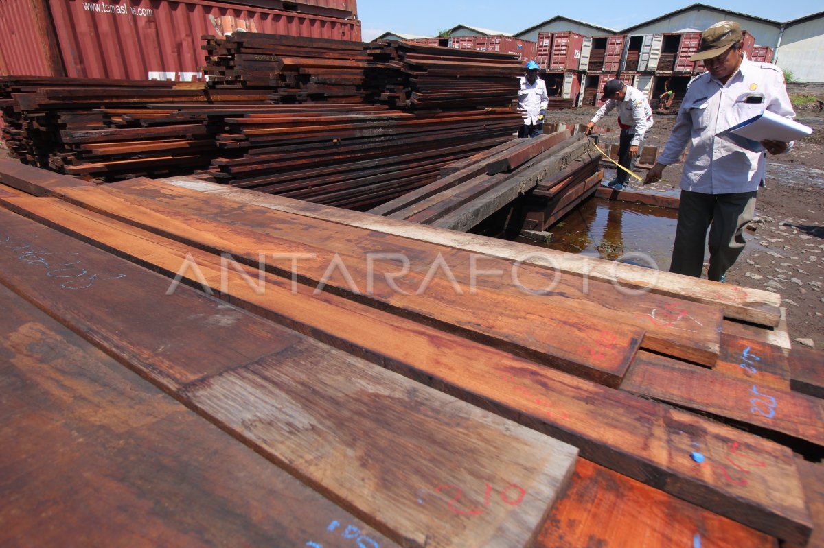 Hasil Ungkap Penggagalan Penyelundupan Kayu Antara Foto