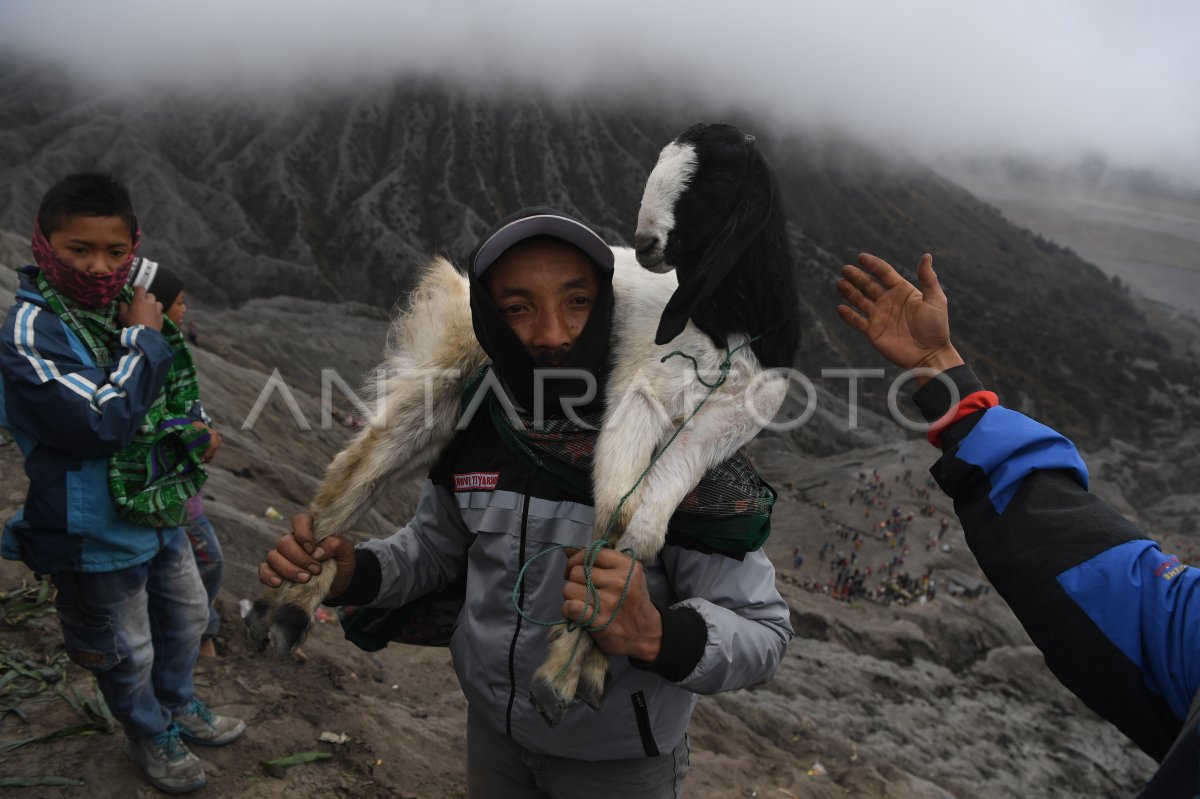 UPACARA YADNYA KASADA DI BROMO | ANTARA Foto