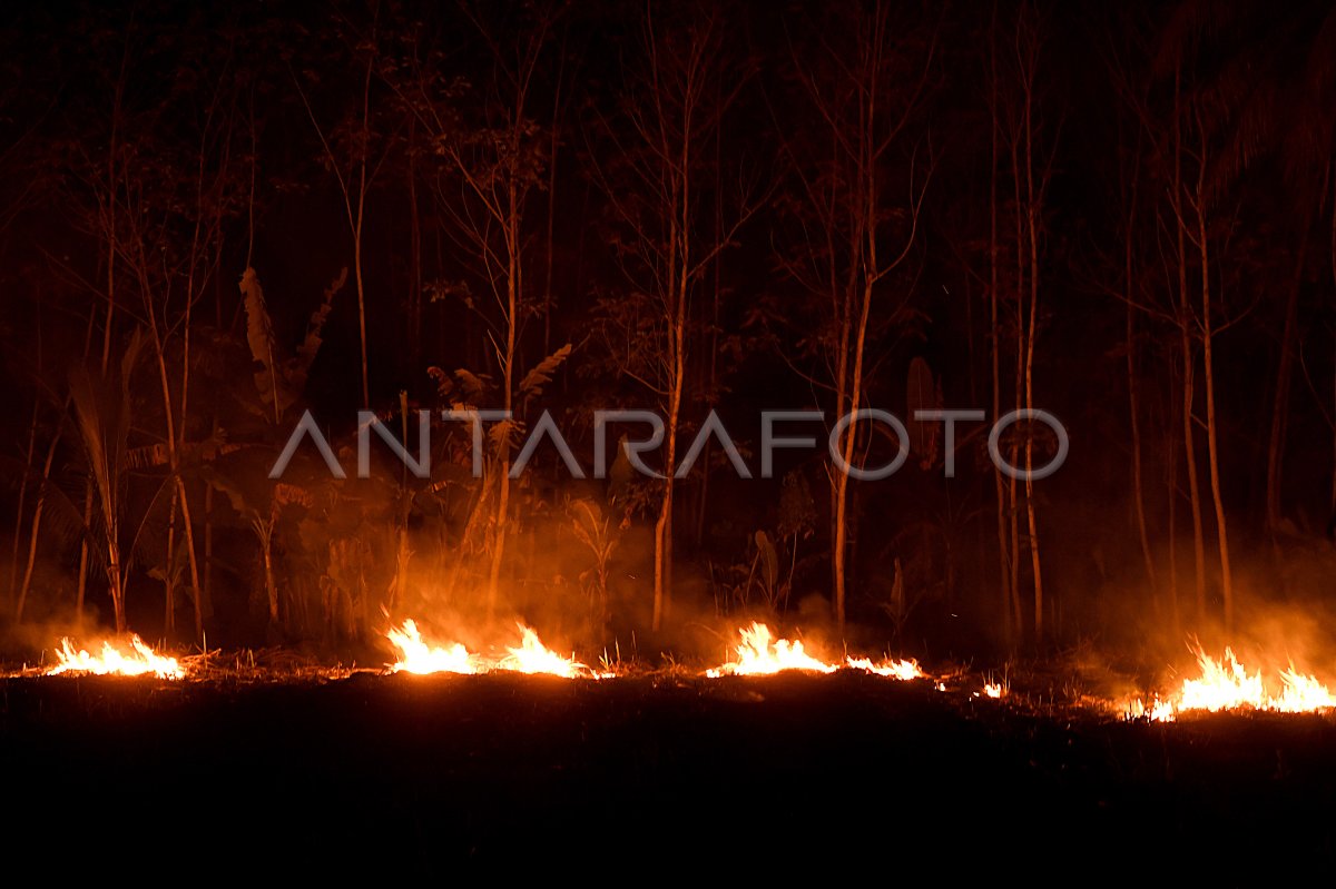 PEMBAKARAN LAHAN | ANTARA Foto