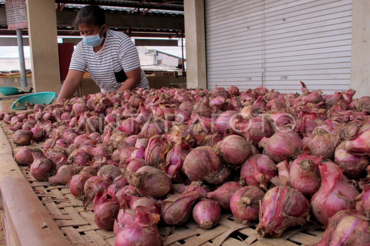 HARGA BAWANG MERAH NAIK | ANTARA Foto