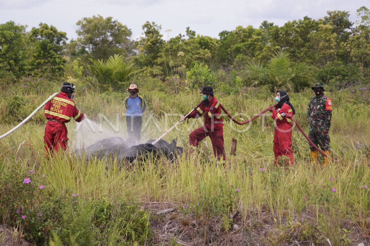 Pelatihan Penanganan Kebakaran Hutan Dan Lahan Gambut Antara Foto