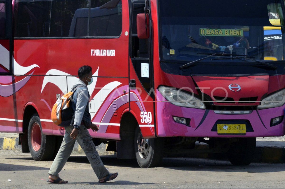 Memahami Kapasitas dan Kenyamanan: Menjelajahi Dunia Bus Pariwisata Executive