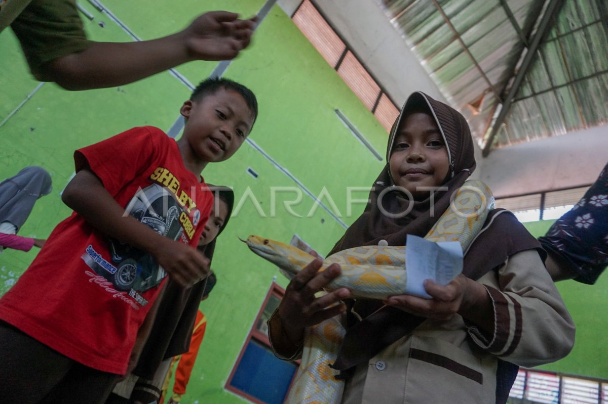 EDUKASI SATWA UNTUK PELAJAR | ANTARA Foto