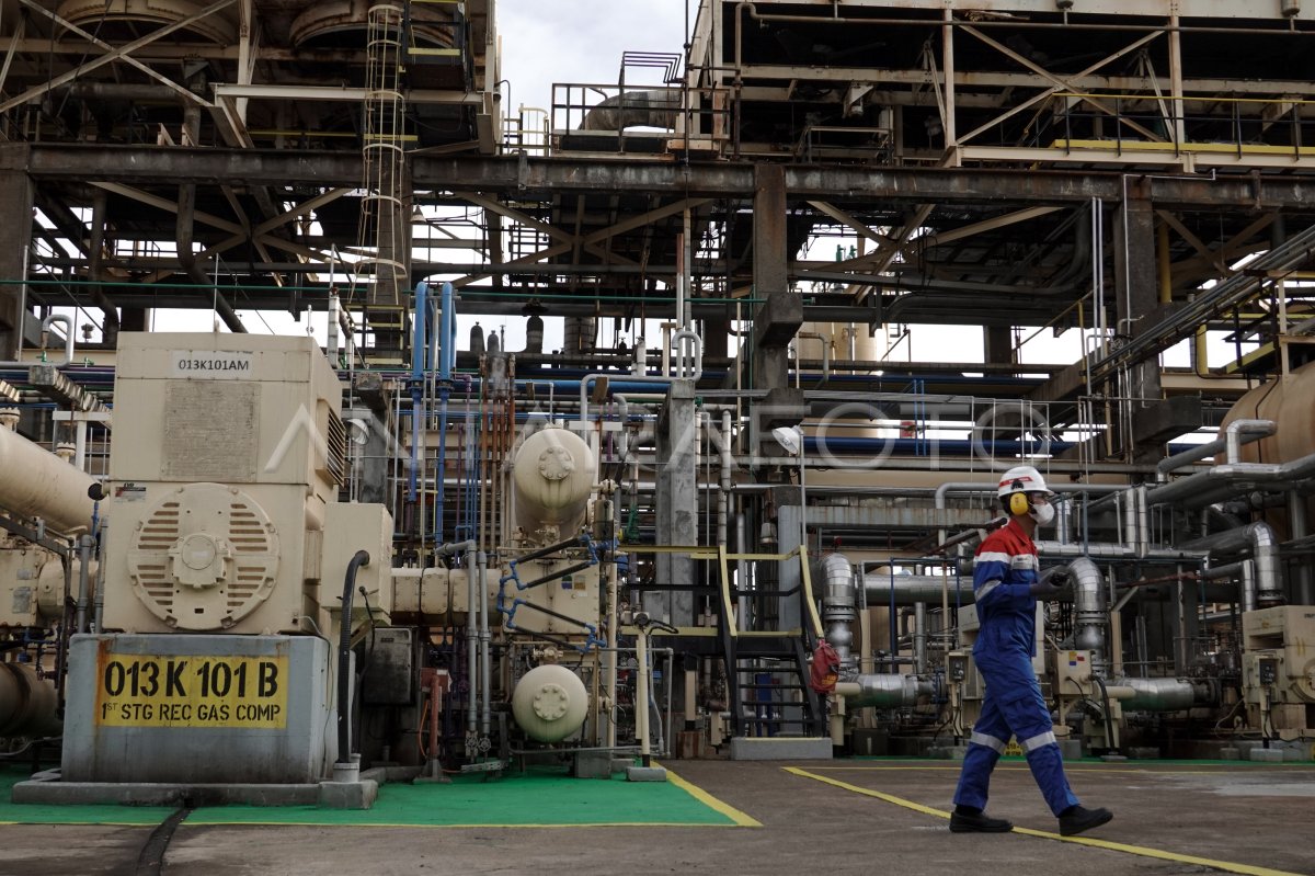 GREEN REFINERY KILANG PERTAMINA CILACAP | ANTARA Foto