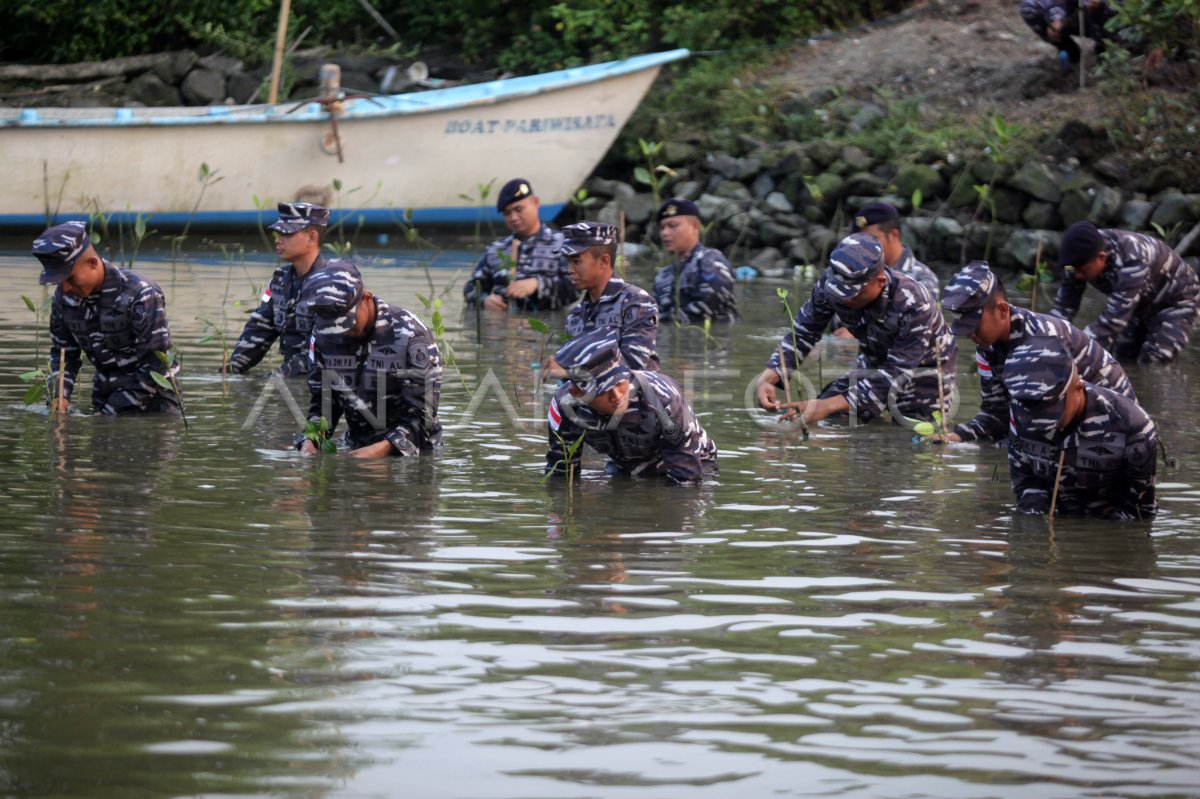 Puncak Penanaman Pohon Mangrove Serentak Antara Foto