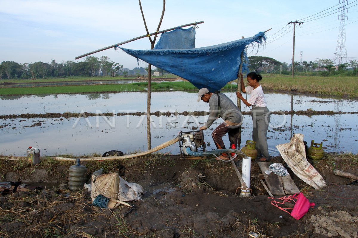 Pemanfaatan sumur bor untuk pertanian saat kemarau