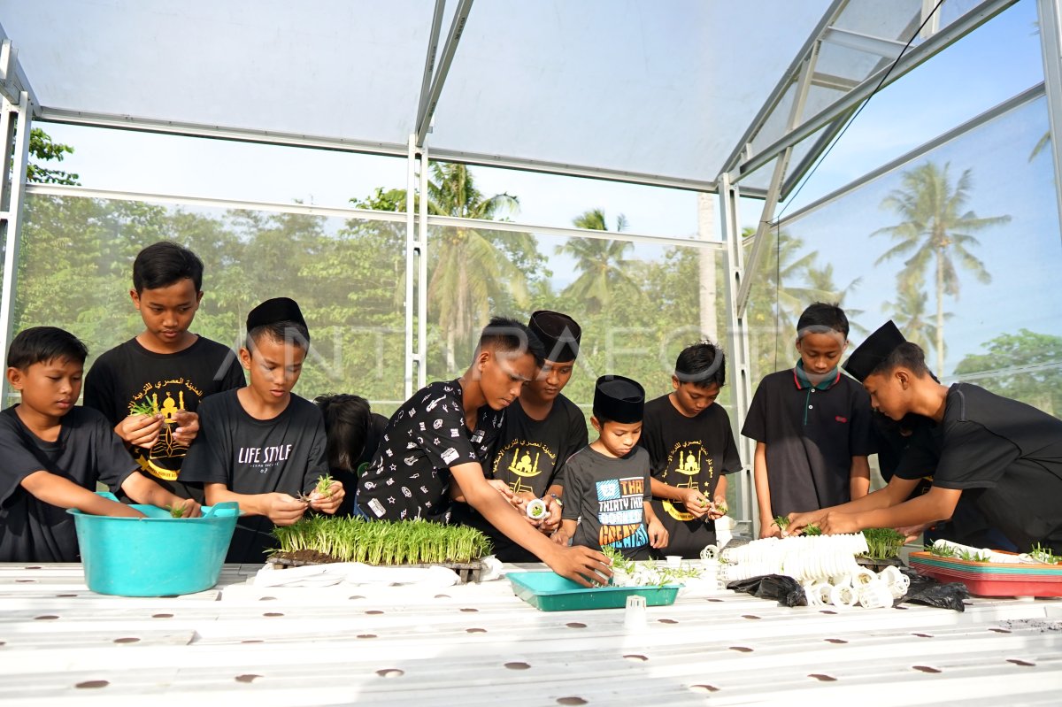 Program kemandirian pesantren Bank Indonesia