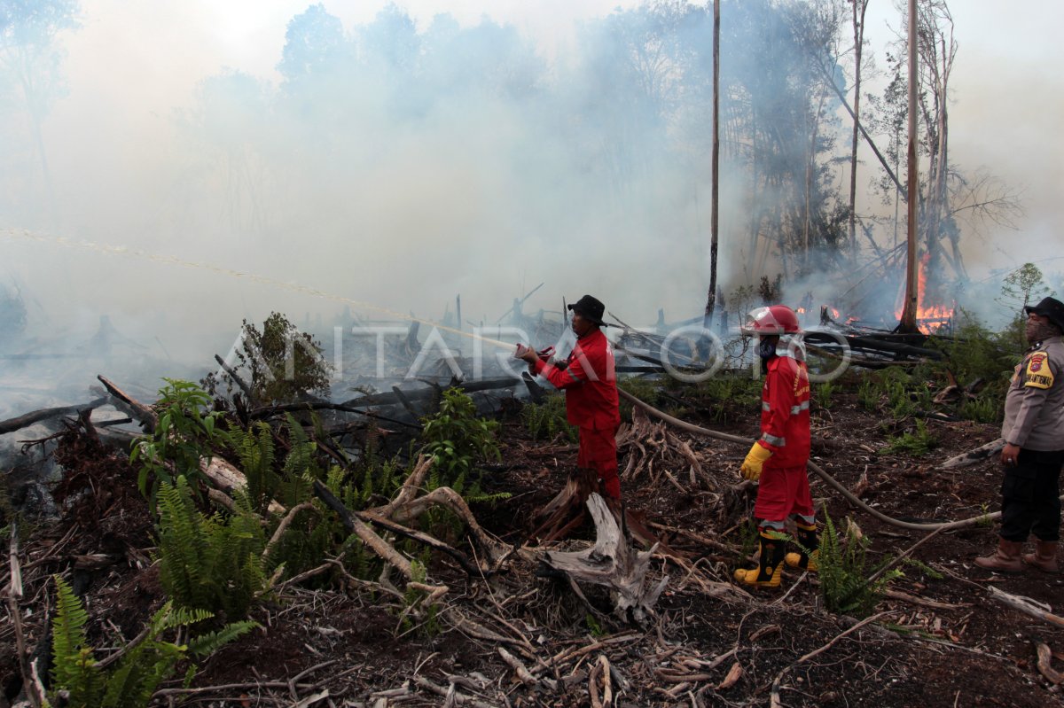 Kebakaran hutan gambut di Sumbar