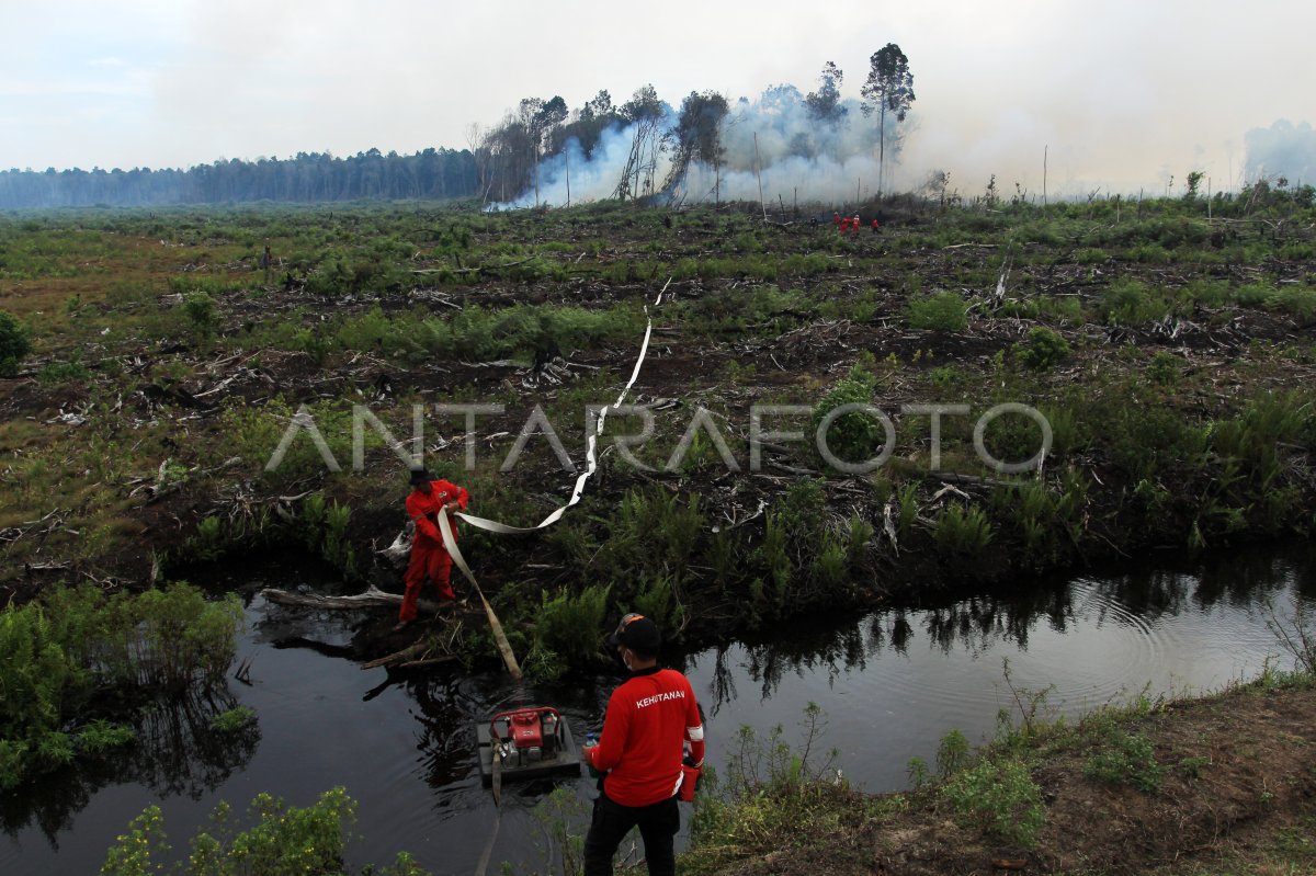 Kebakaran hutan gambut di Sumbar