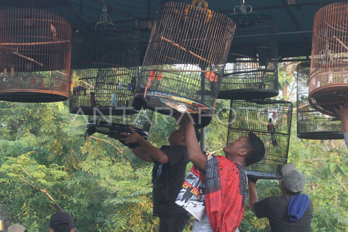 Lomba burung berkicau di Ngawi