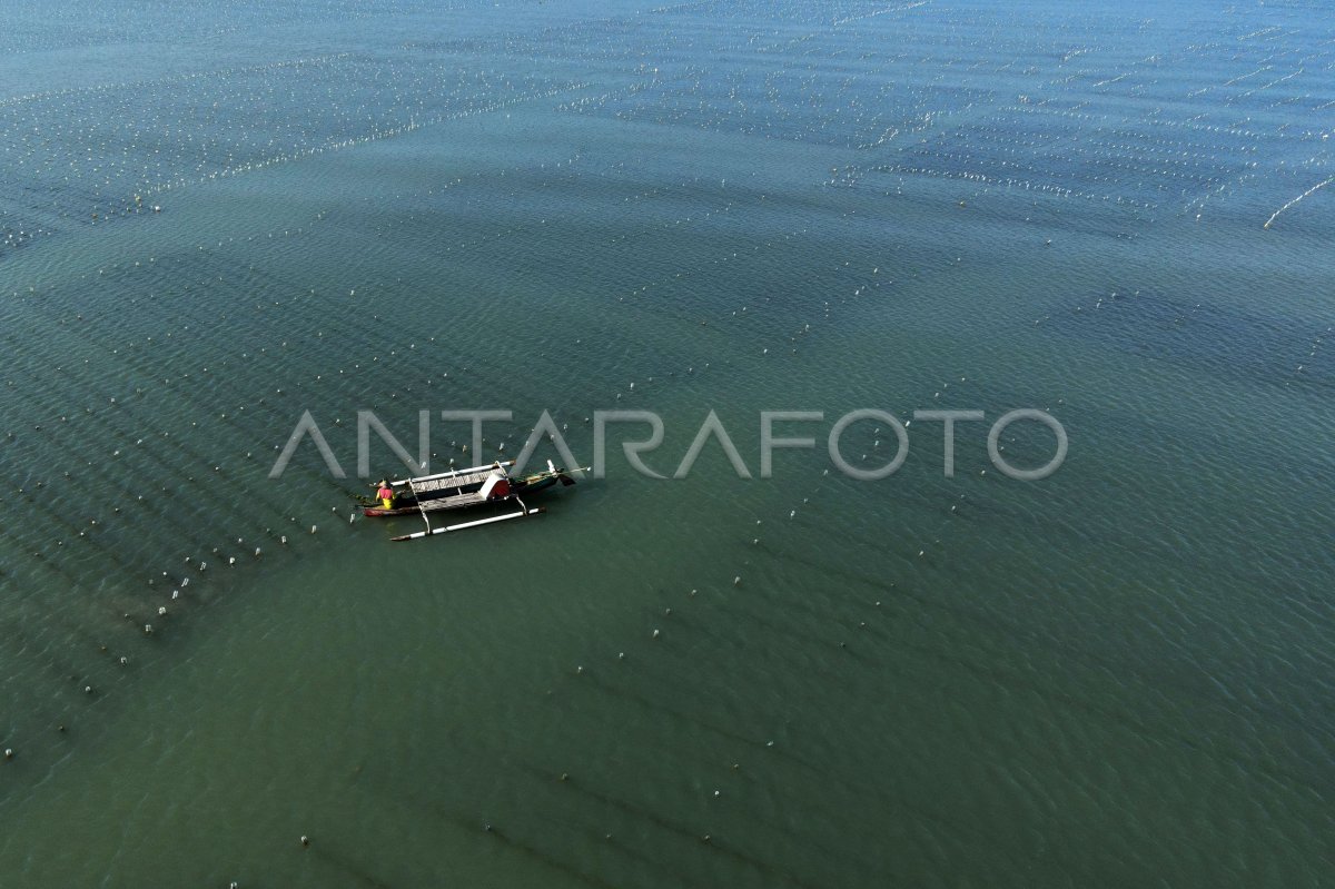 Capaian PNBP dari pengelolaan ruang laut