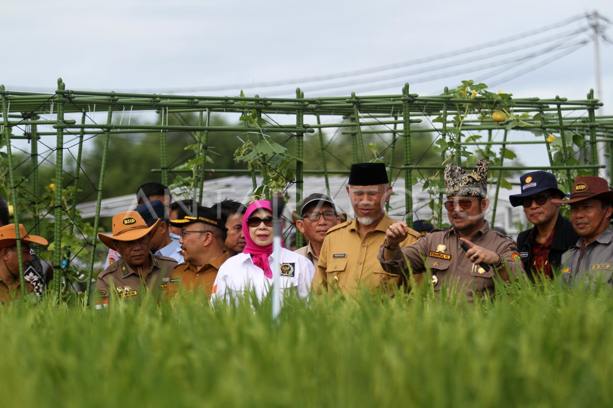 Peninjauan Penas Tani di Padang