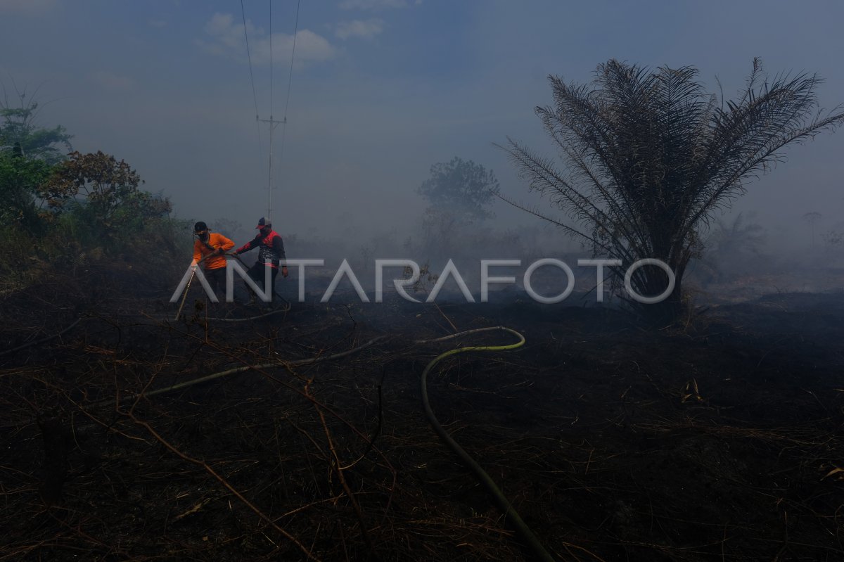 Kebakaran lahan gambut di Kubu Raya