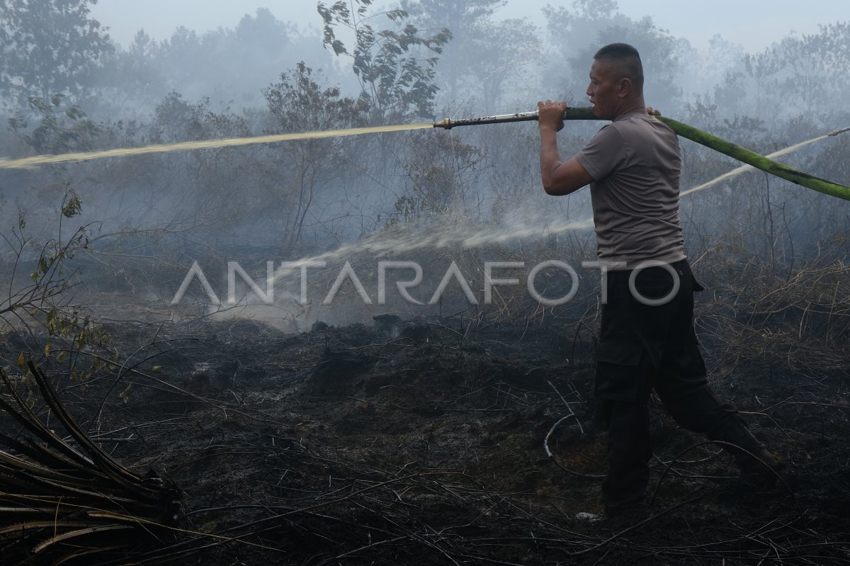 Kebakaran lahan gambut di Kubu Raya