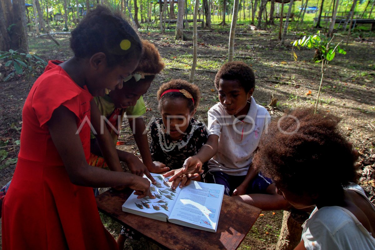 Penerapan Kurikulum Merdeka Belajar di Papua