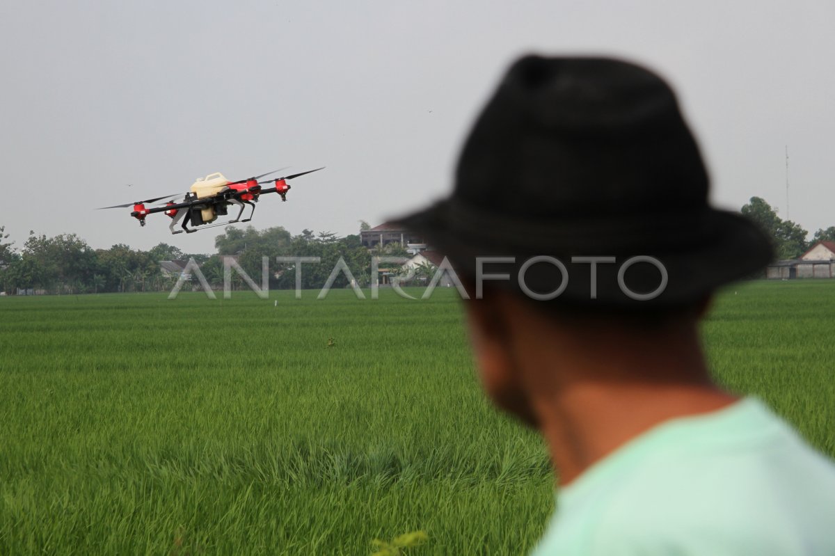 Penyemprotan pestisida dengan drone di Jombang