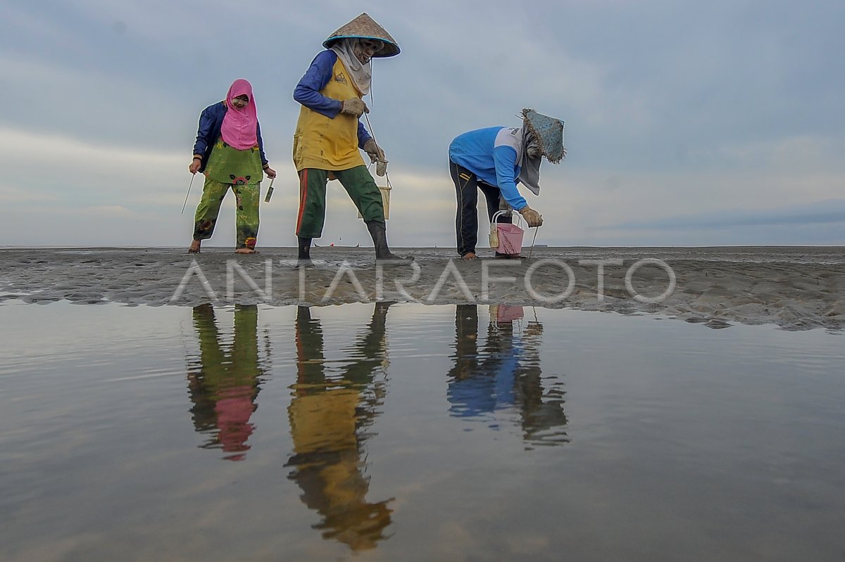 Nelayan pencari sumbun di Kampung Laut