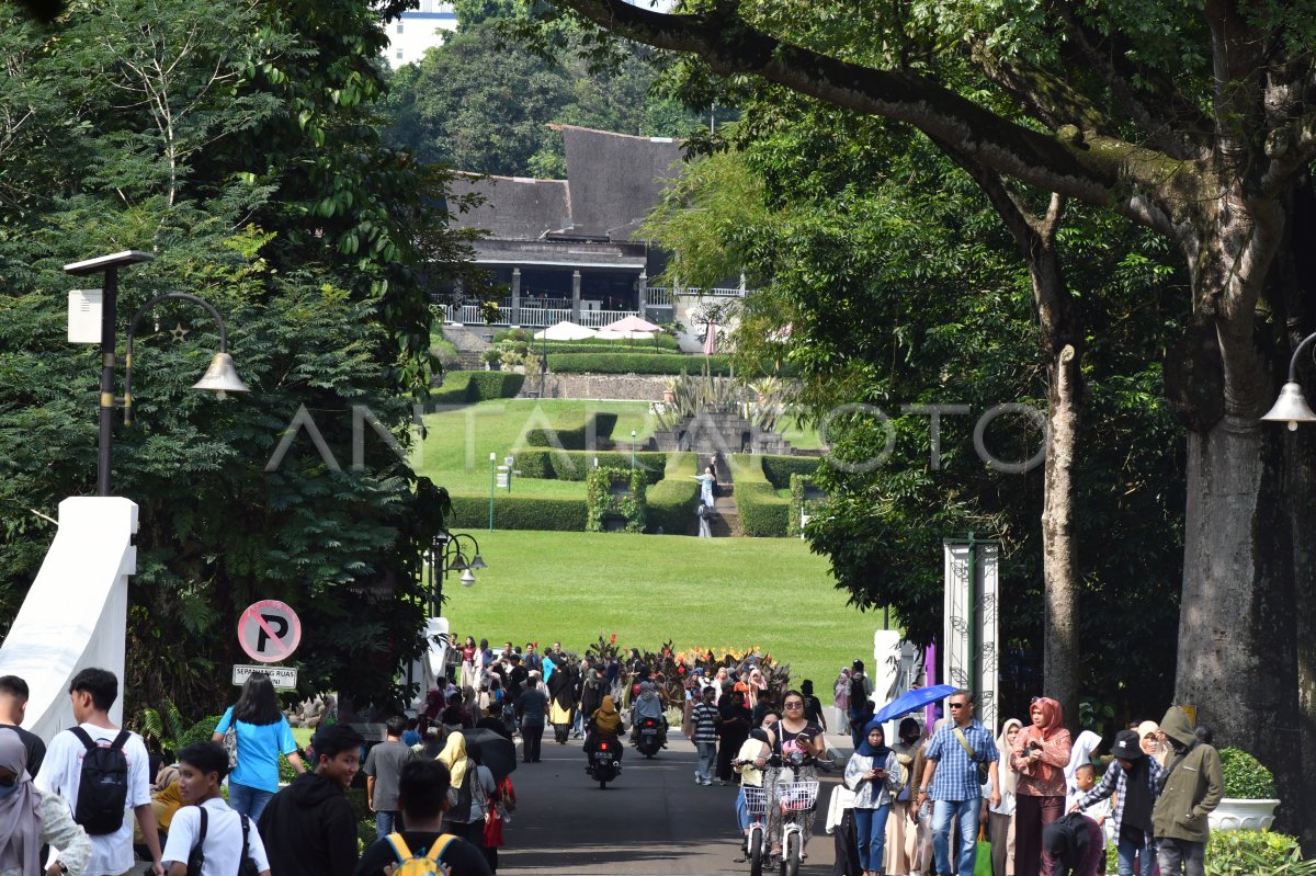 Wisata Kebun Raya Bogor Antara Foto