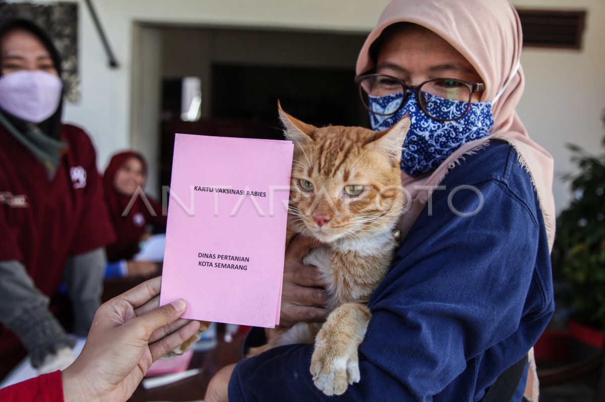 Layanan vaksin rabies keliling gratis di Semarang