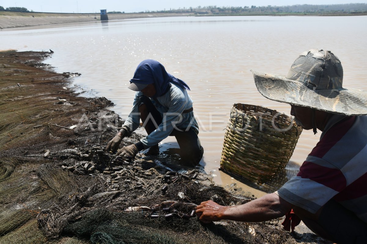 Menangkap Ikan Saat Air Waduk Menyusut Di Madiun Antara Foto