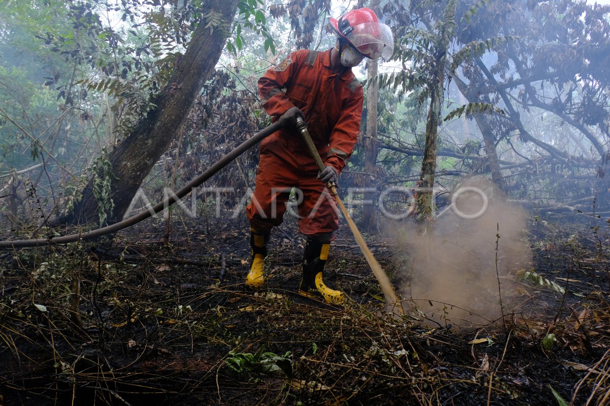 TCA Greenpeace padamkan karhutla di Kalbar