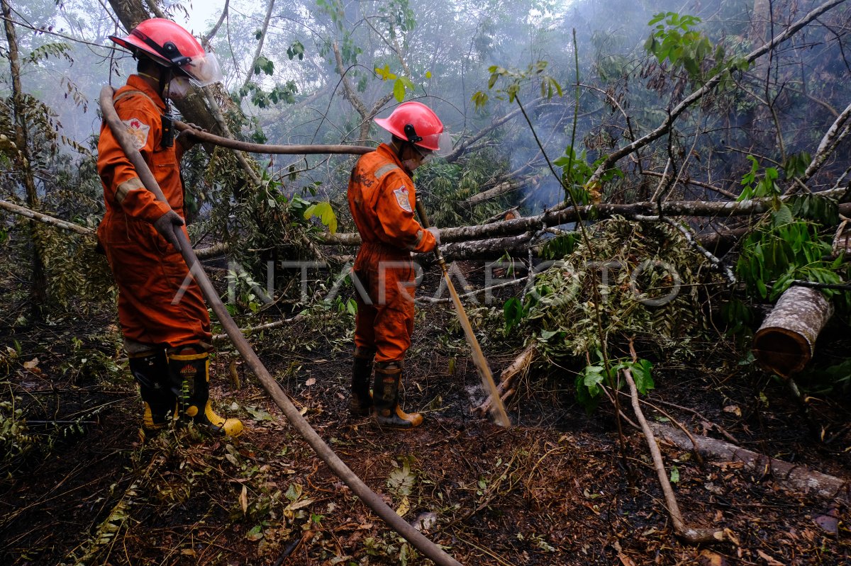TCA Greenpeace padamkan karhutla di Kalbar