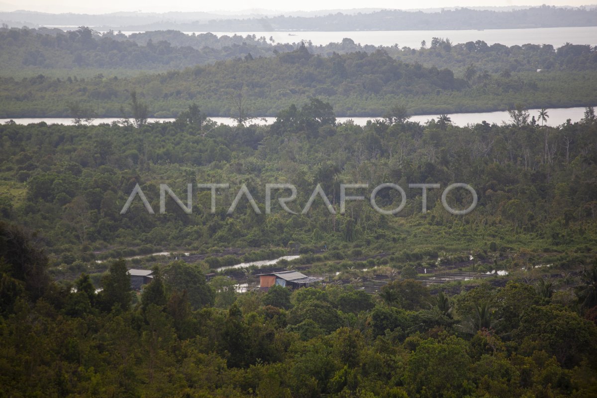 Rencana Pengembangan Pulau Rempang Di Batam Antara Foto