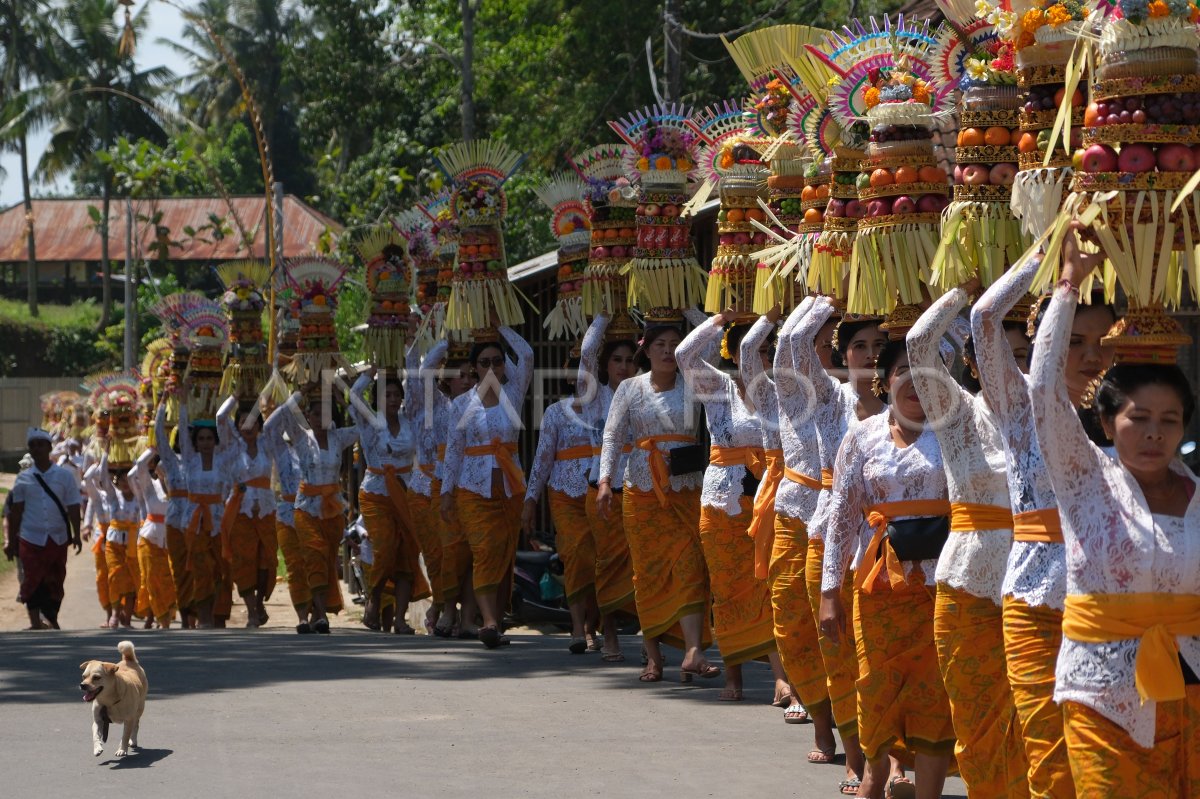 Tradisi Mapeed Alas Kedaton di Bali