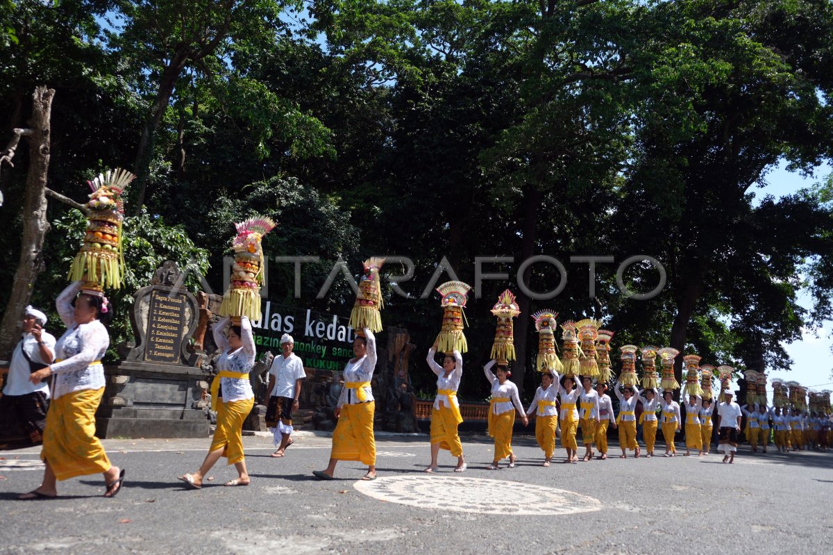 Tradisi Mapeed Alas Kedaton di Bali
