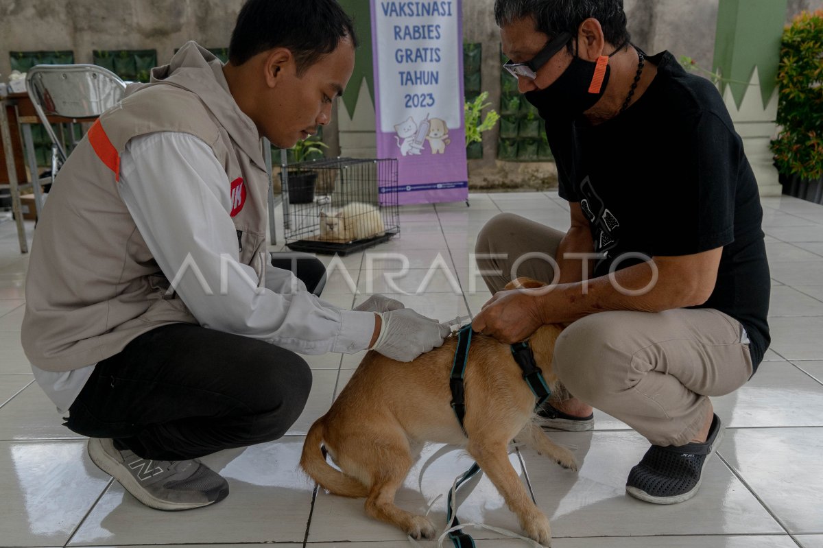 Vaksinasi rabies gratis di Yogyakarta