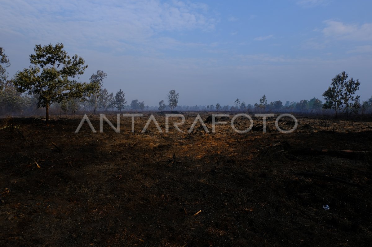Sebaran titik panas Kalimantan Barat