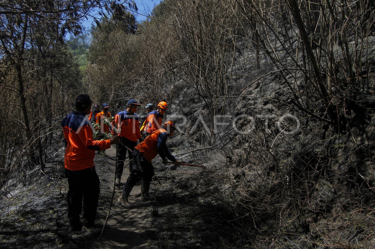 Upaya pemadaman api kebakaran Gunung Bromo